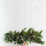 Christmas is coming