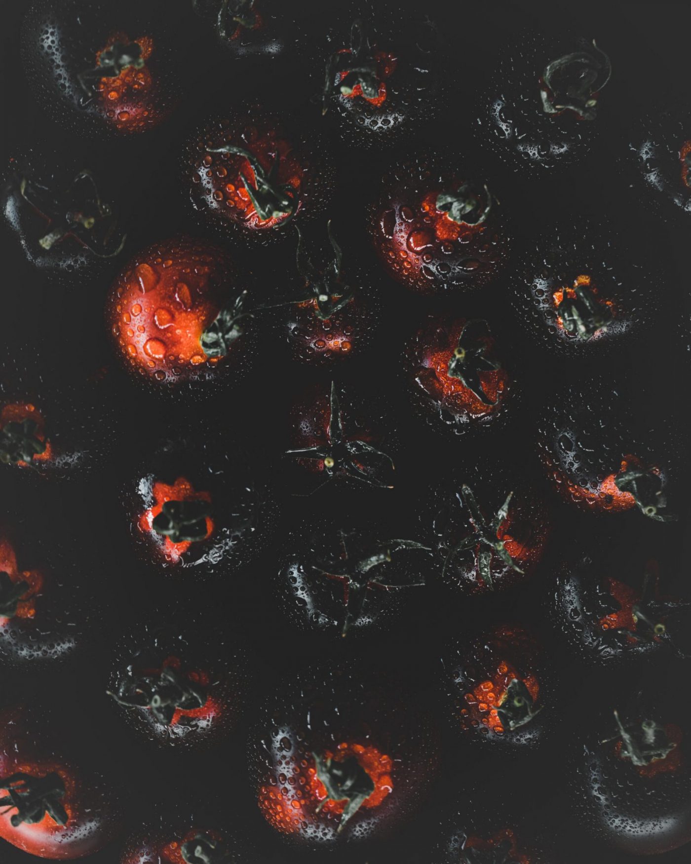 Photo Produit — image 5