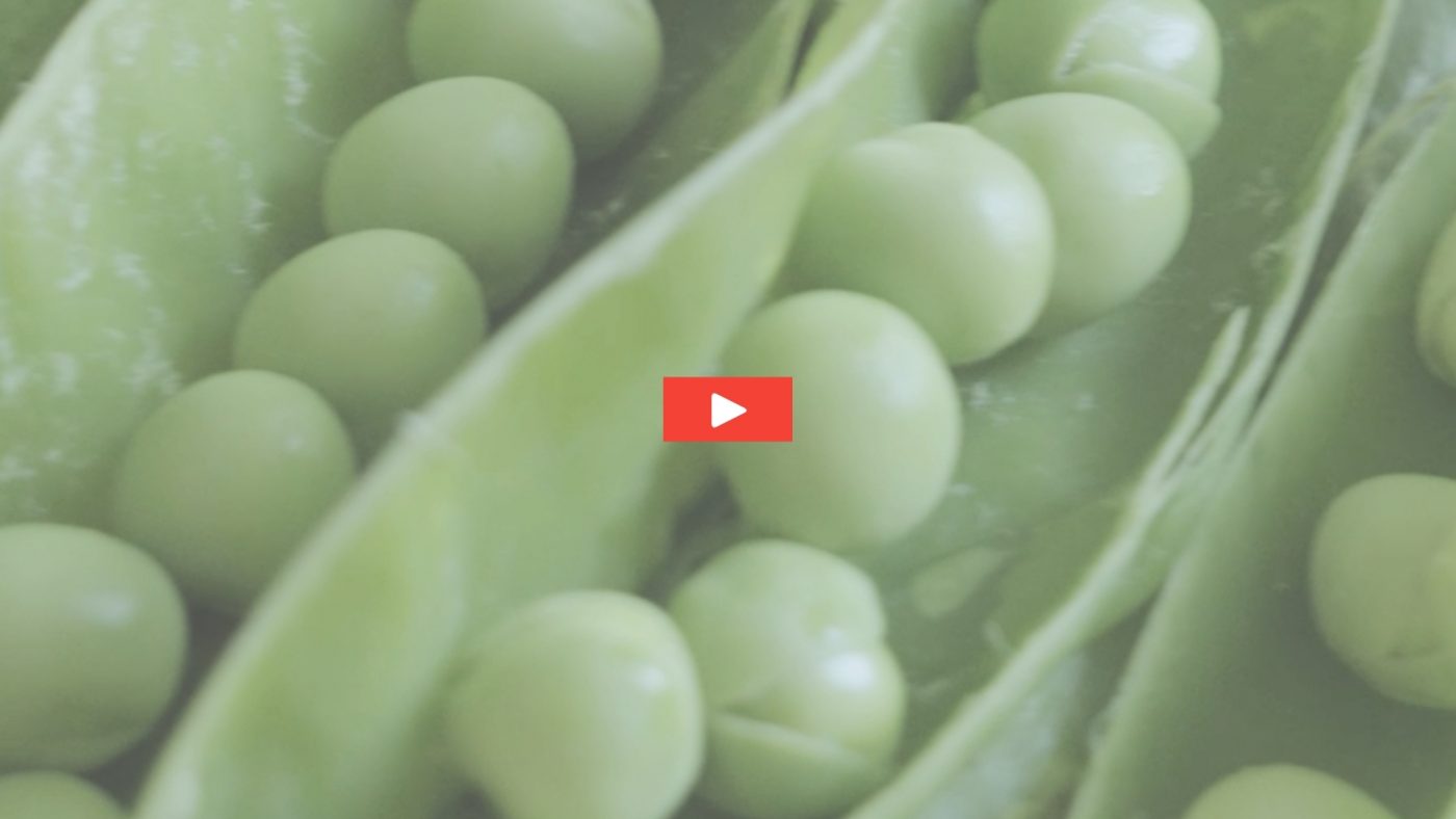 Shorts Vidéos: recettes, films d'ambiance, cocktails, produits ou créations pour des marques.