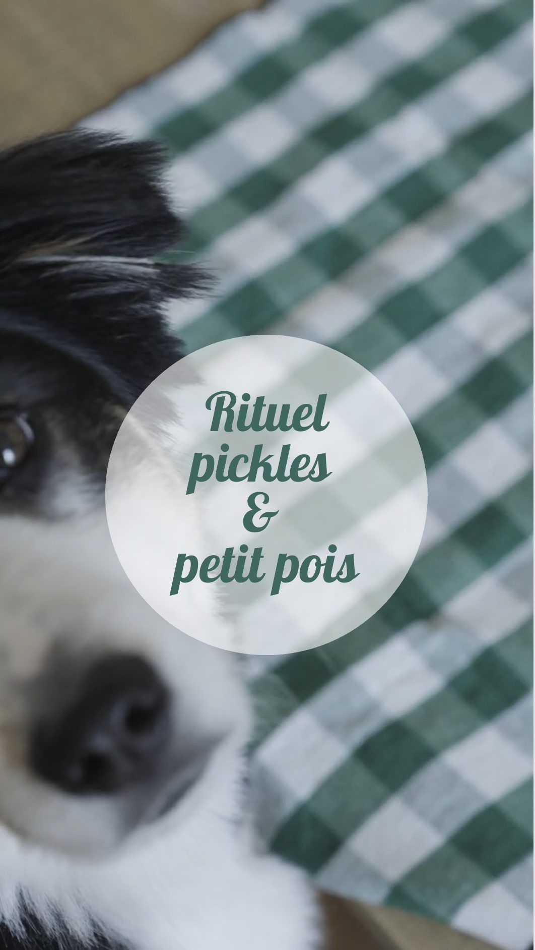 Shorts Vidéos: recettes, films d'ambiance, cocktails, produits ou créations pour des marques. — image 4
