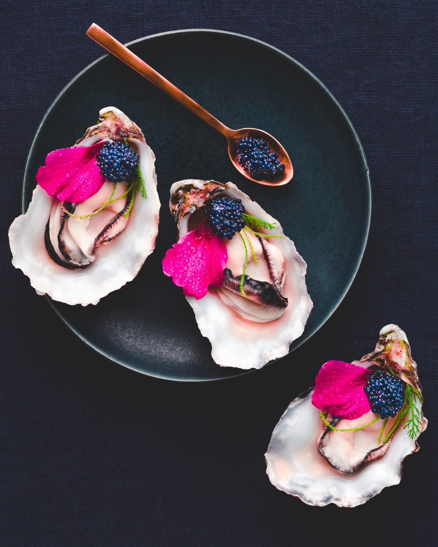 Photos Recettes — image 4
