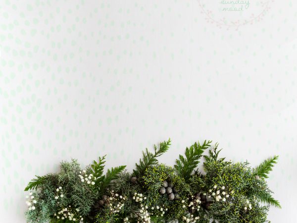 Christmas is coming