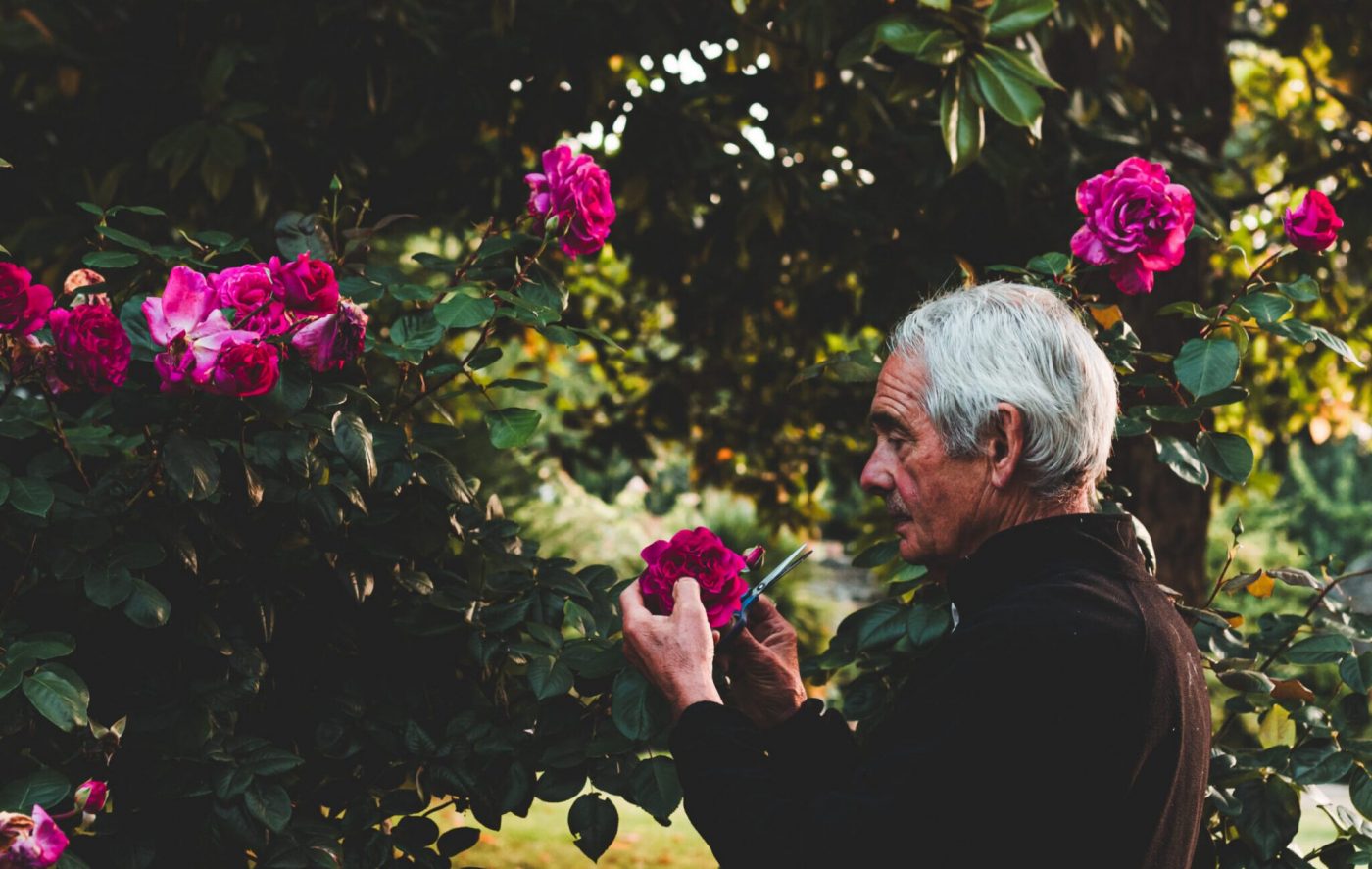 Artisan Floriculture