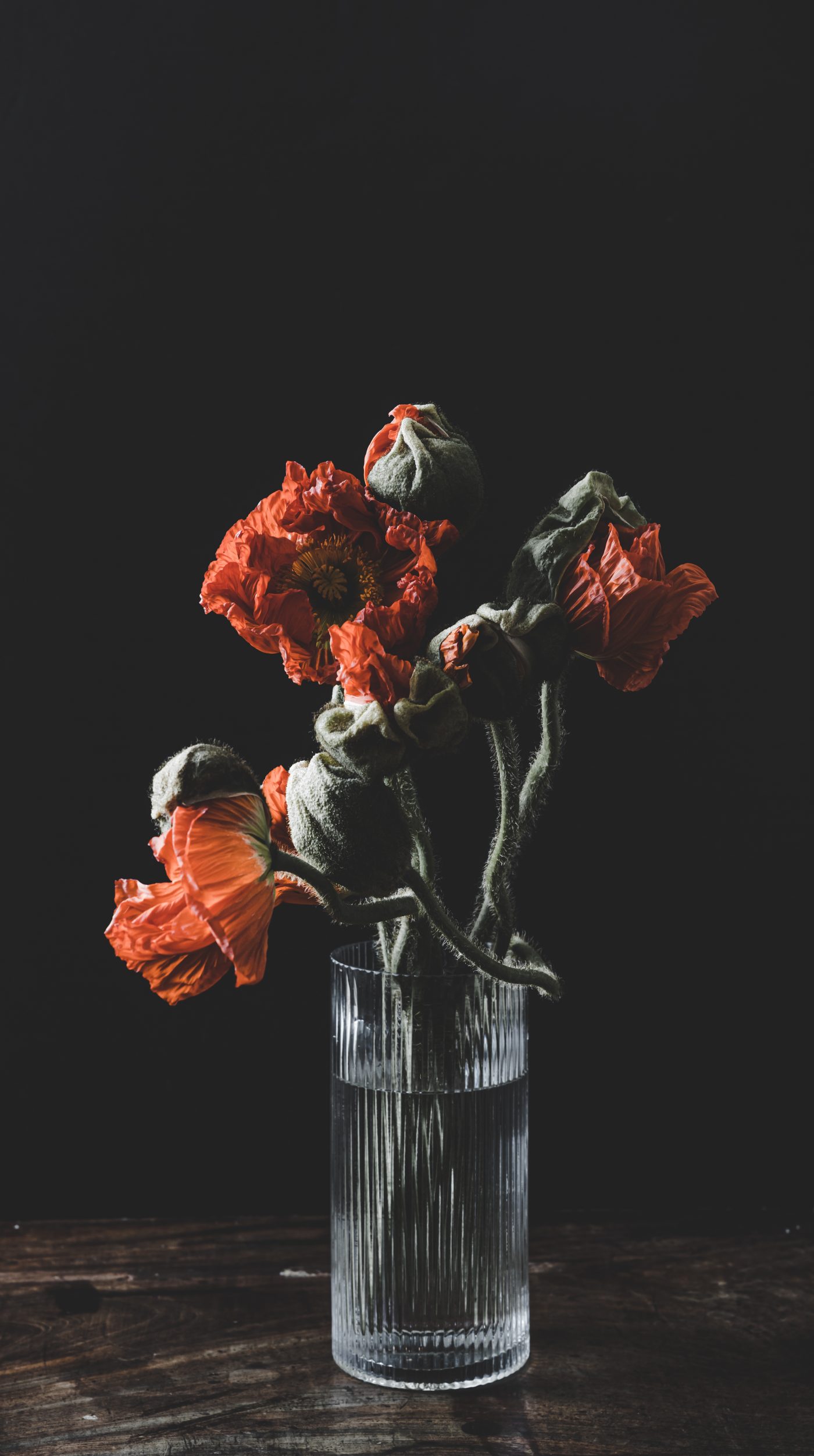 Fleuriste — image 4