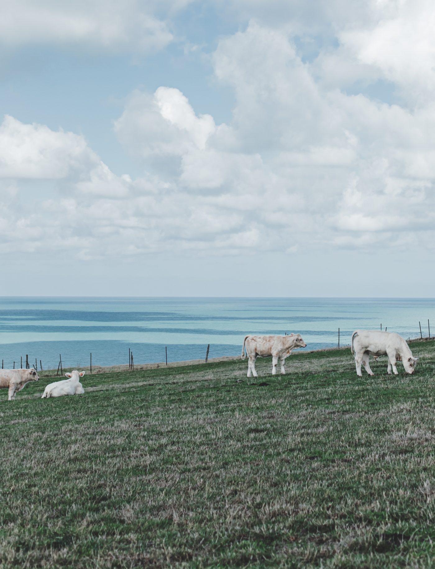 voyage - hôtellerie - restaurant - territoire - paysage — image 2