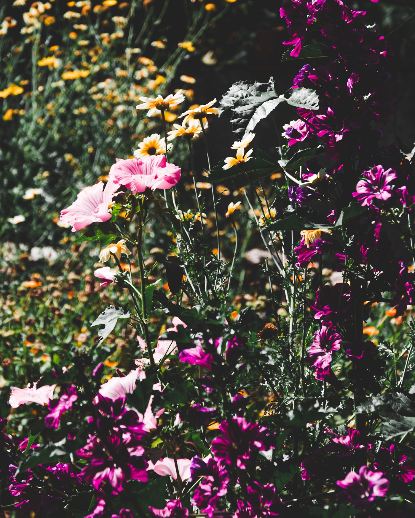Artisan Floriculture — image 4