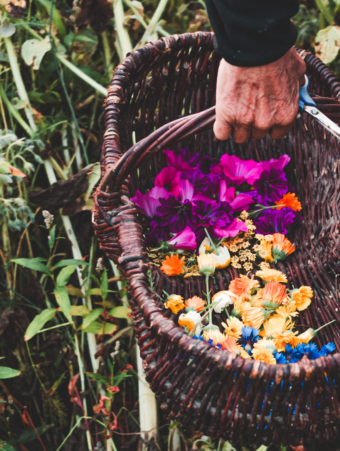 Artisan Floriculture — image 9
