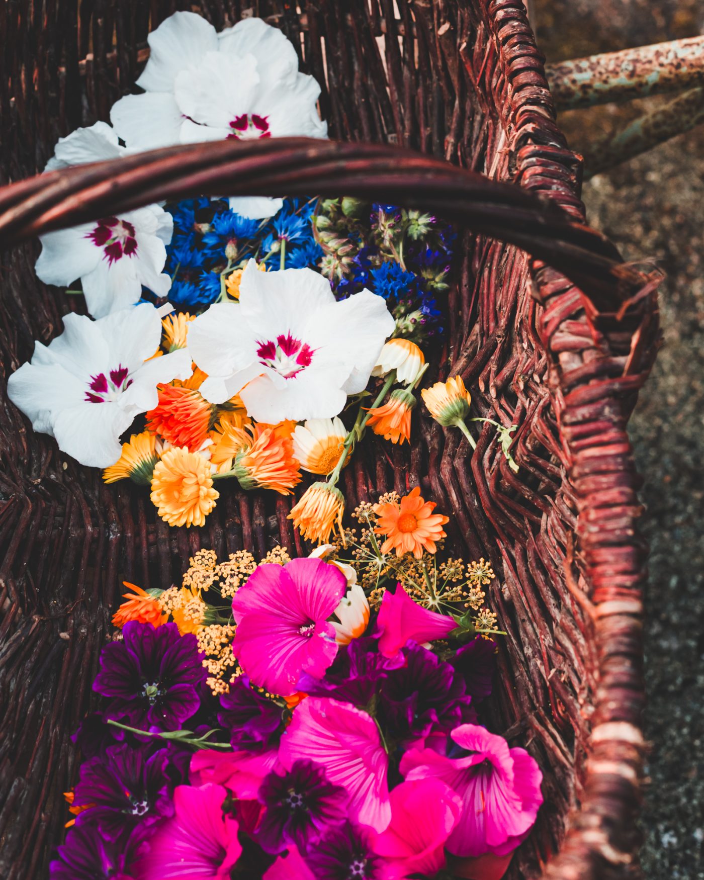 Artisan Floriculture — image 6