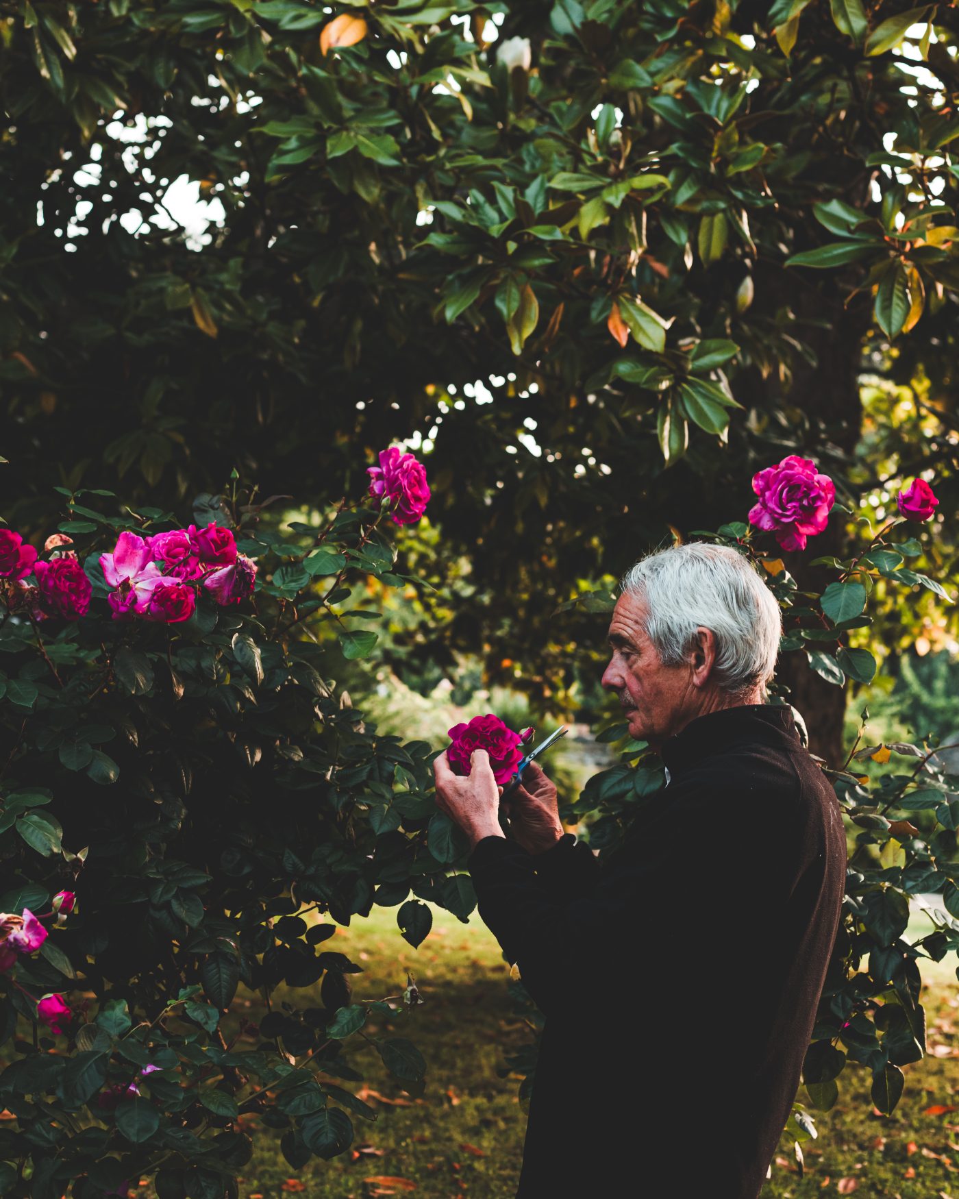 Artisan Floriculture — image 2