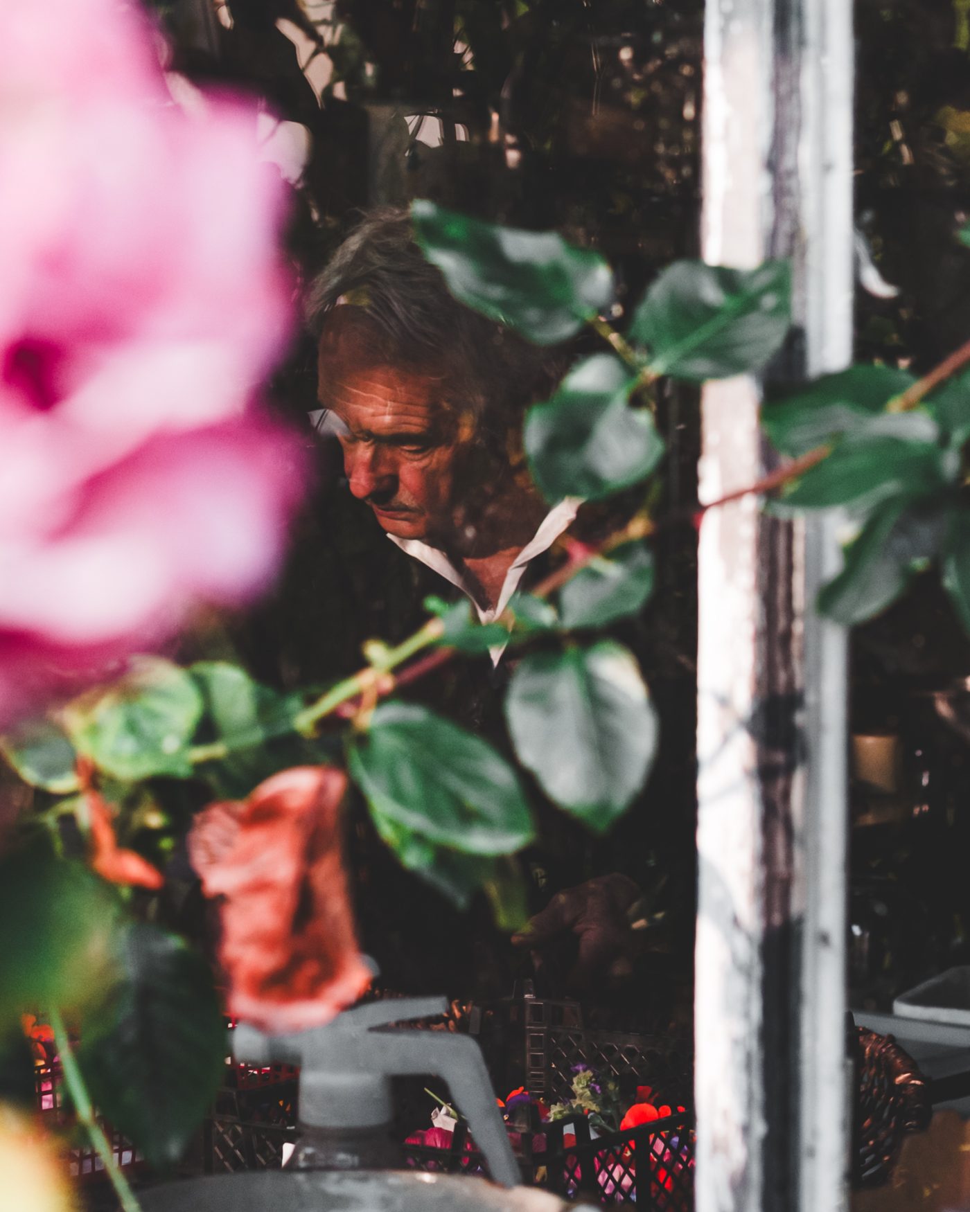 Artisan Floriculture — image 3