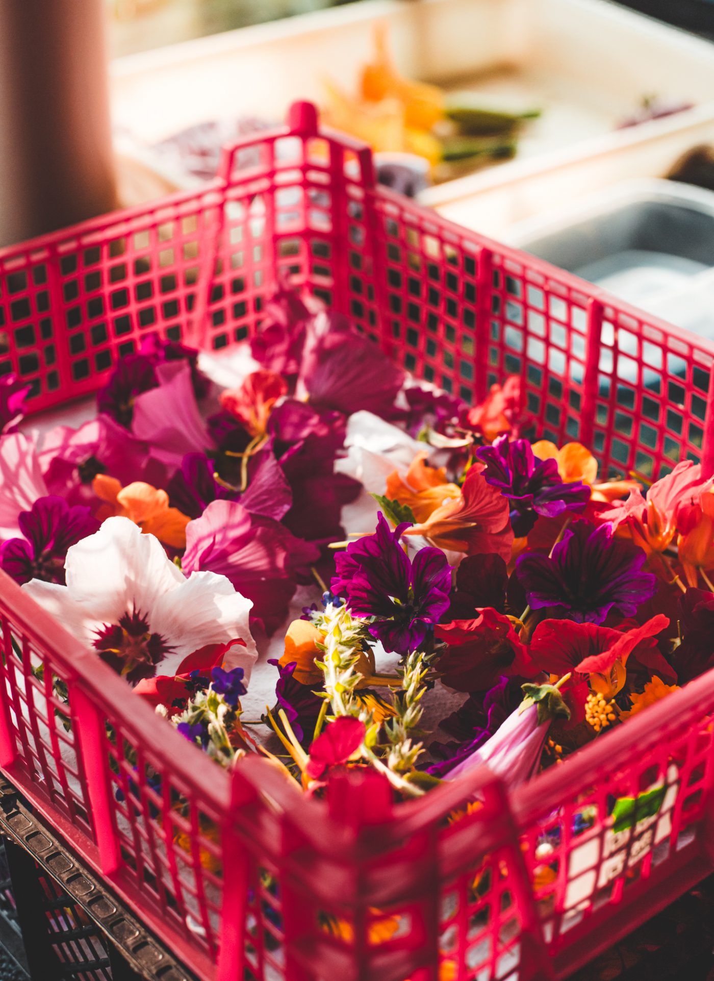 Artisan Floriculture — image 8