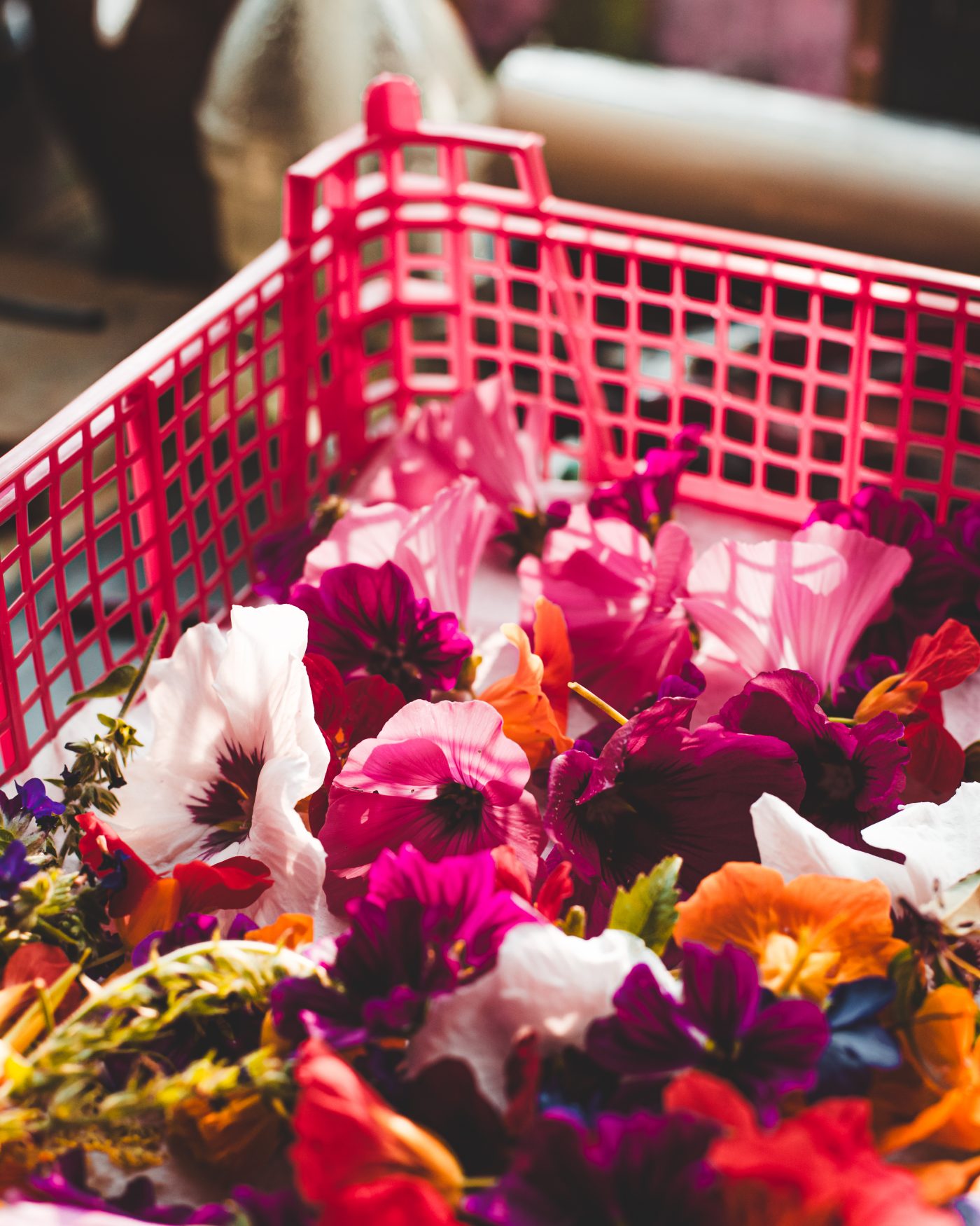 Artisan Floriculture — image 3
