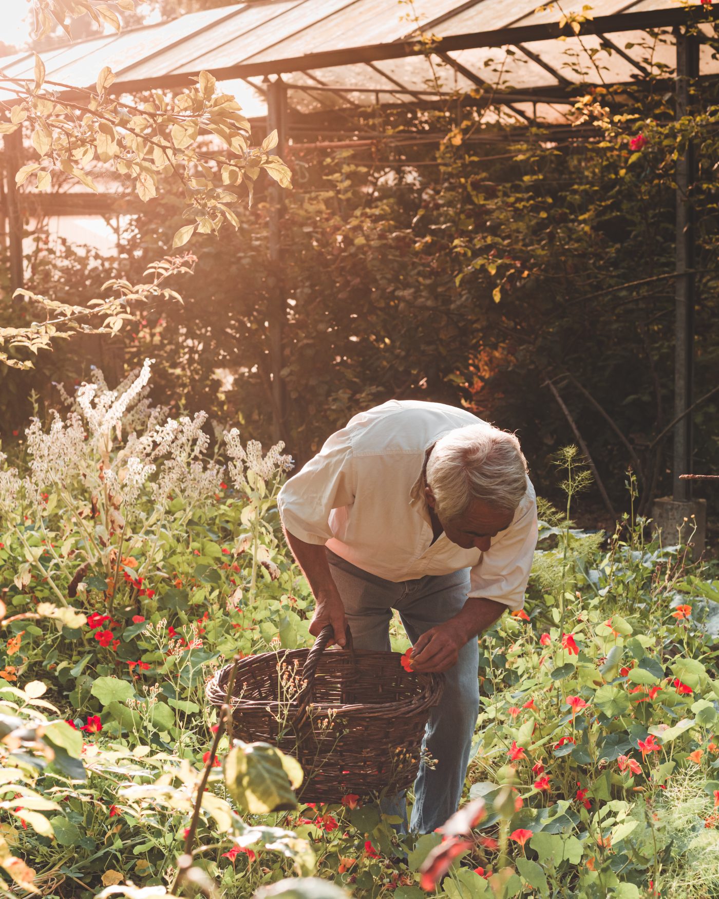 Artisan Floriculture — image 10