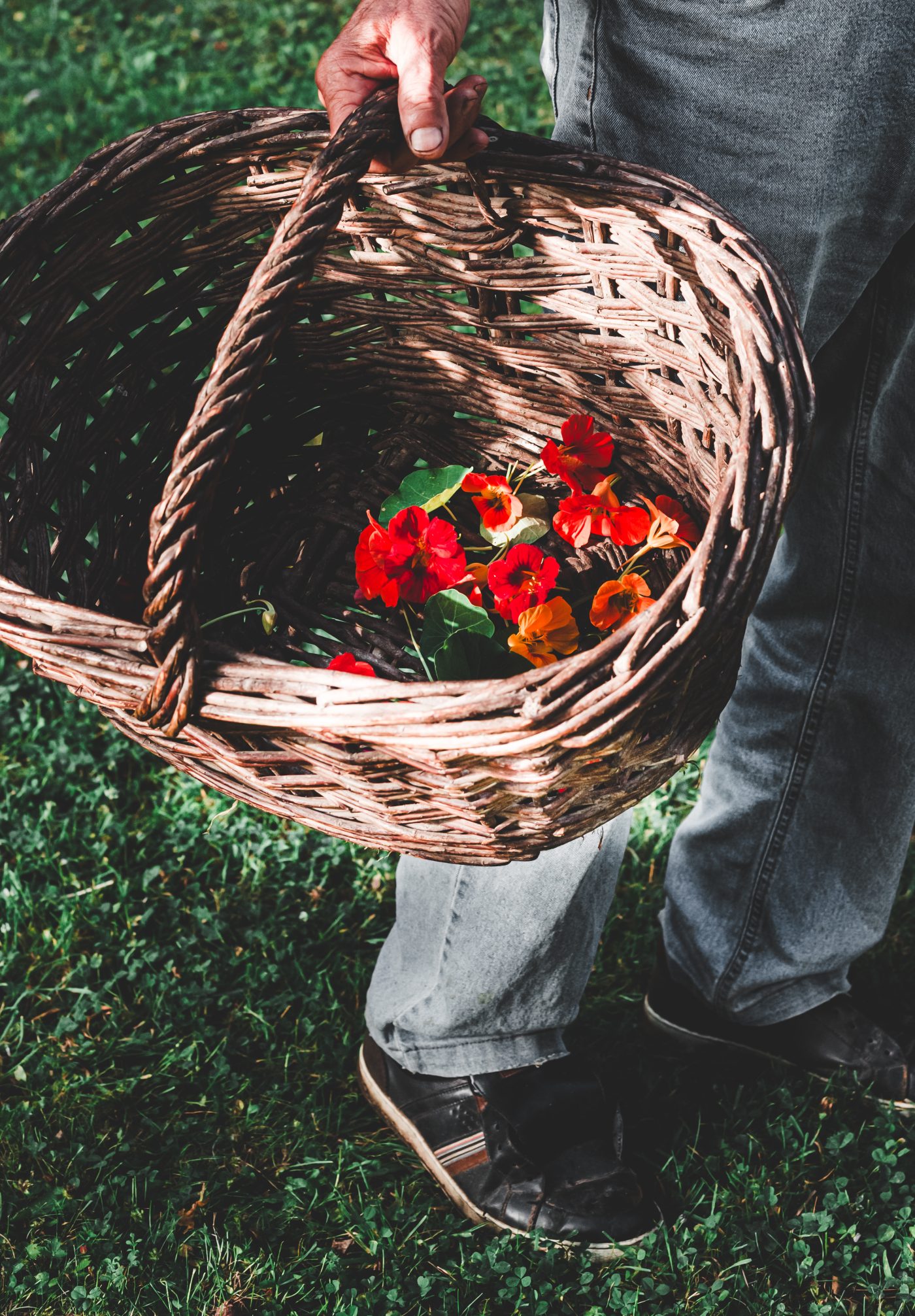 Artisan Floriculture — image 6