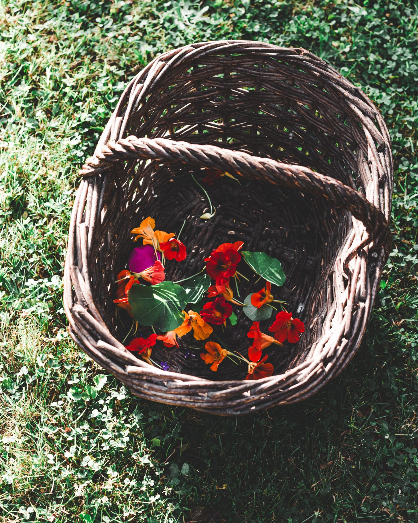 Artisan Floriculture — image 4