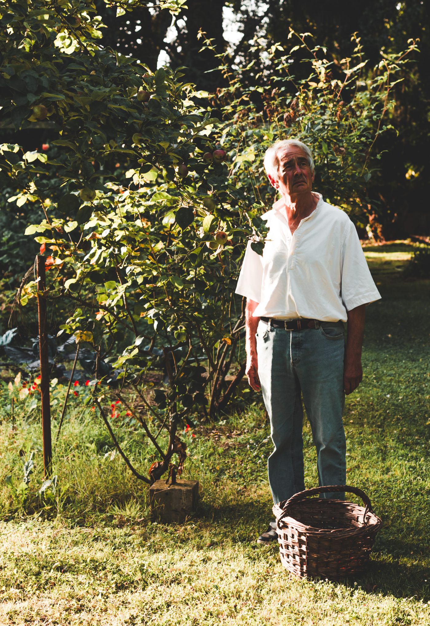 Artisan Floriculture — image 5