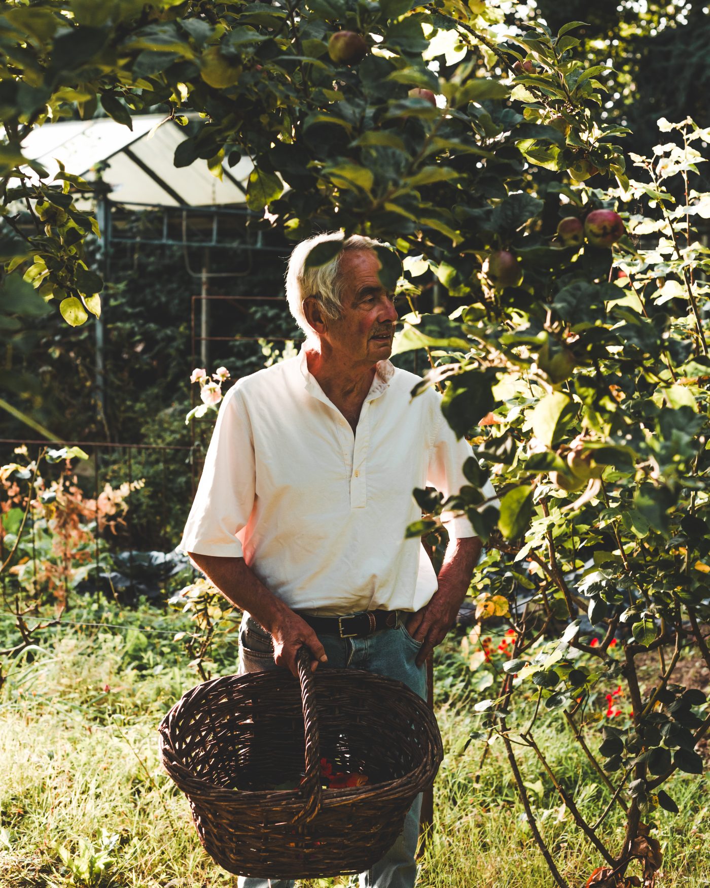 Artisan Floriculture — image 6
