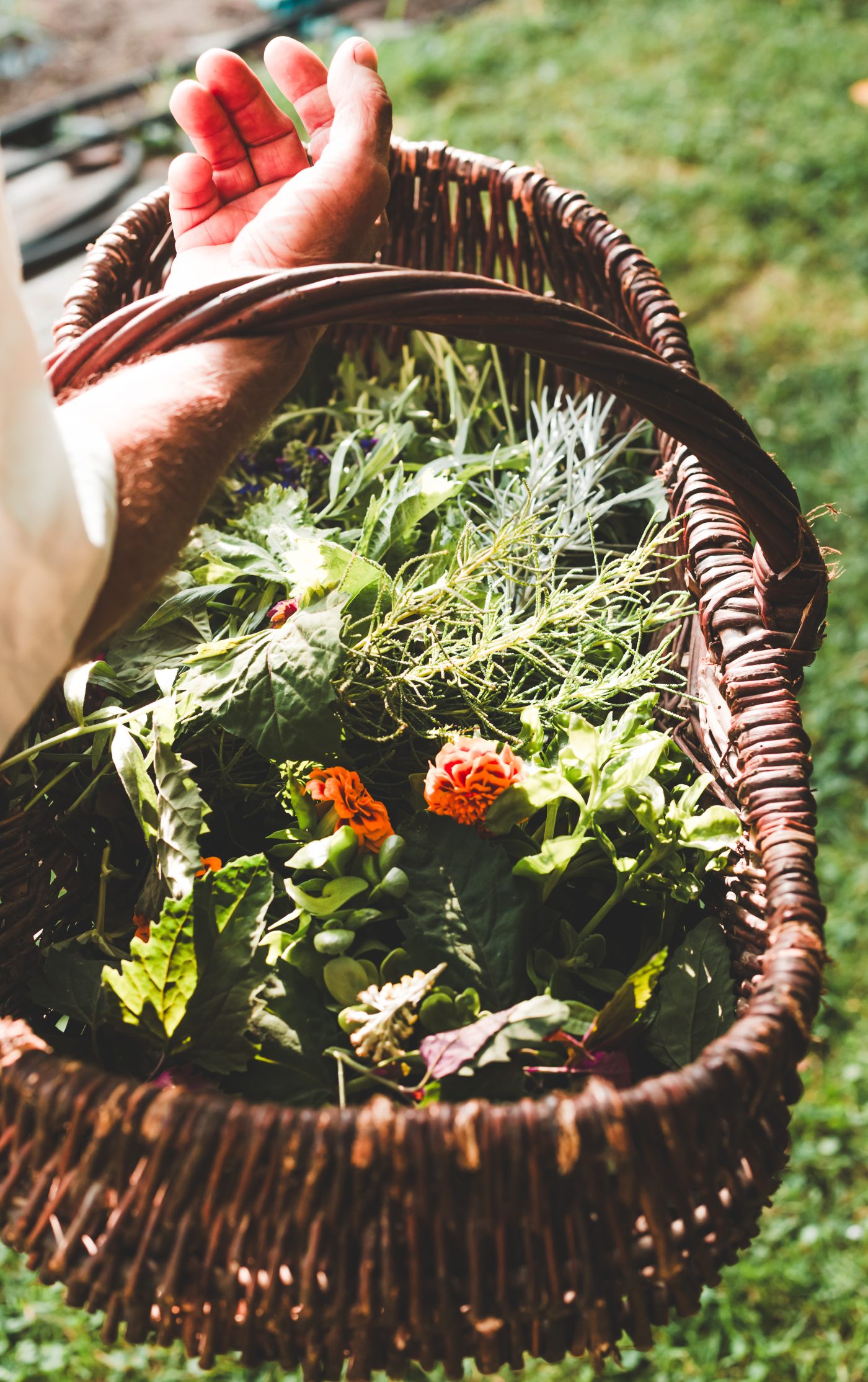 Artisan Floriculture — image 1