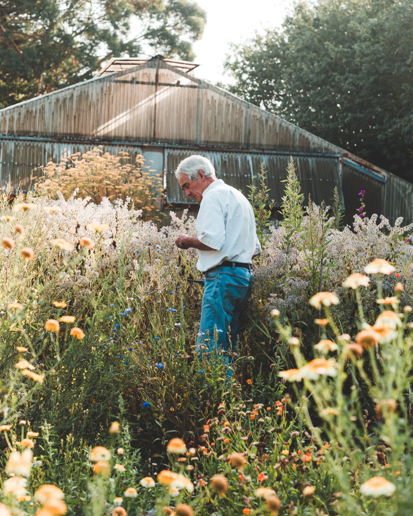 Artisan Floriculture — image 10