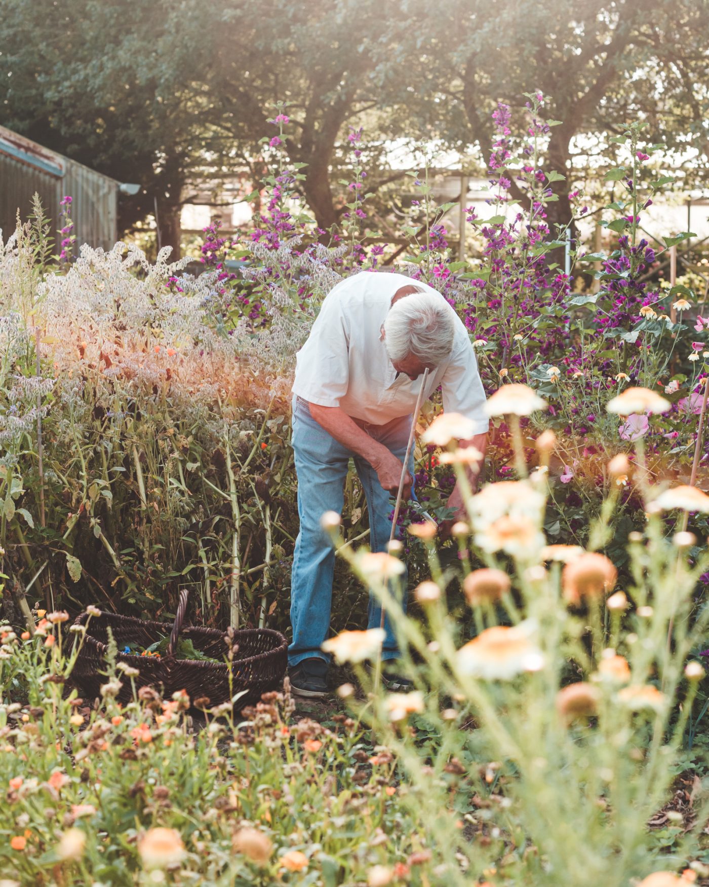 Artisan Floriculture — image 8