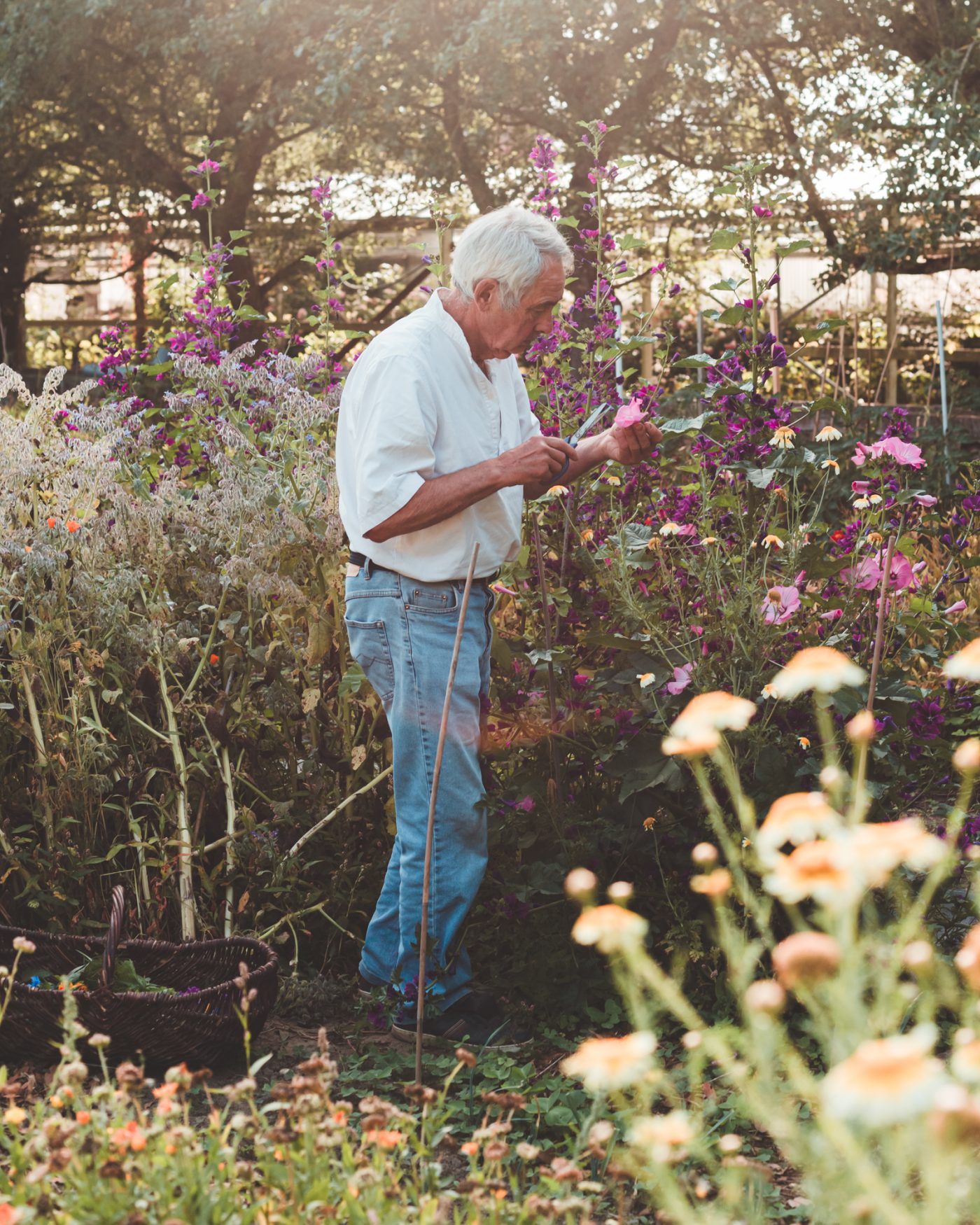 Artisan Floriculture — image 8