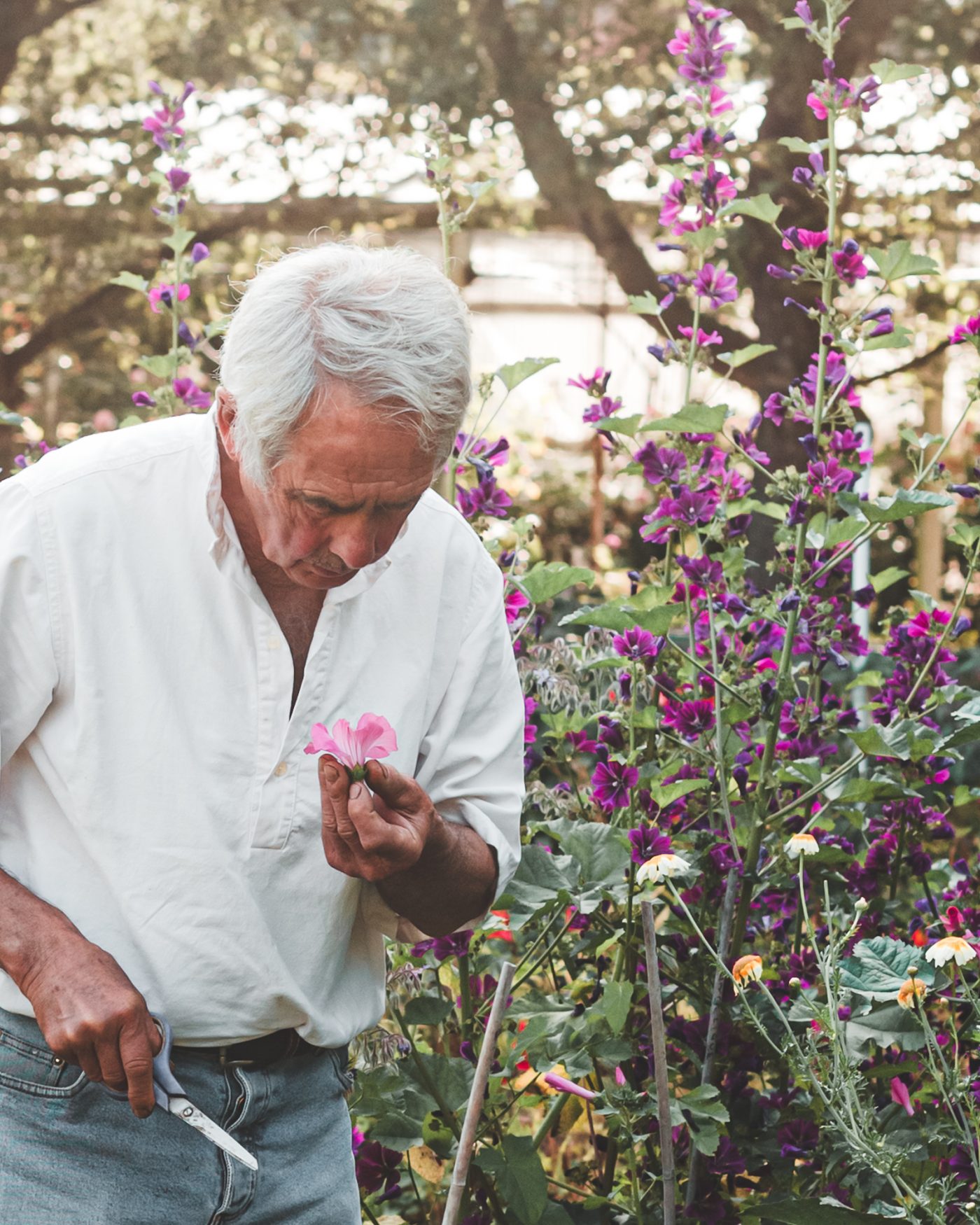 Artisan Floriculture — image 1
