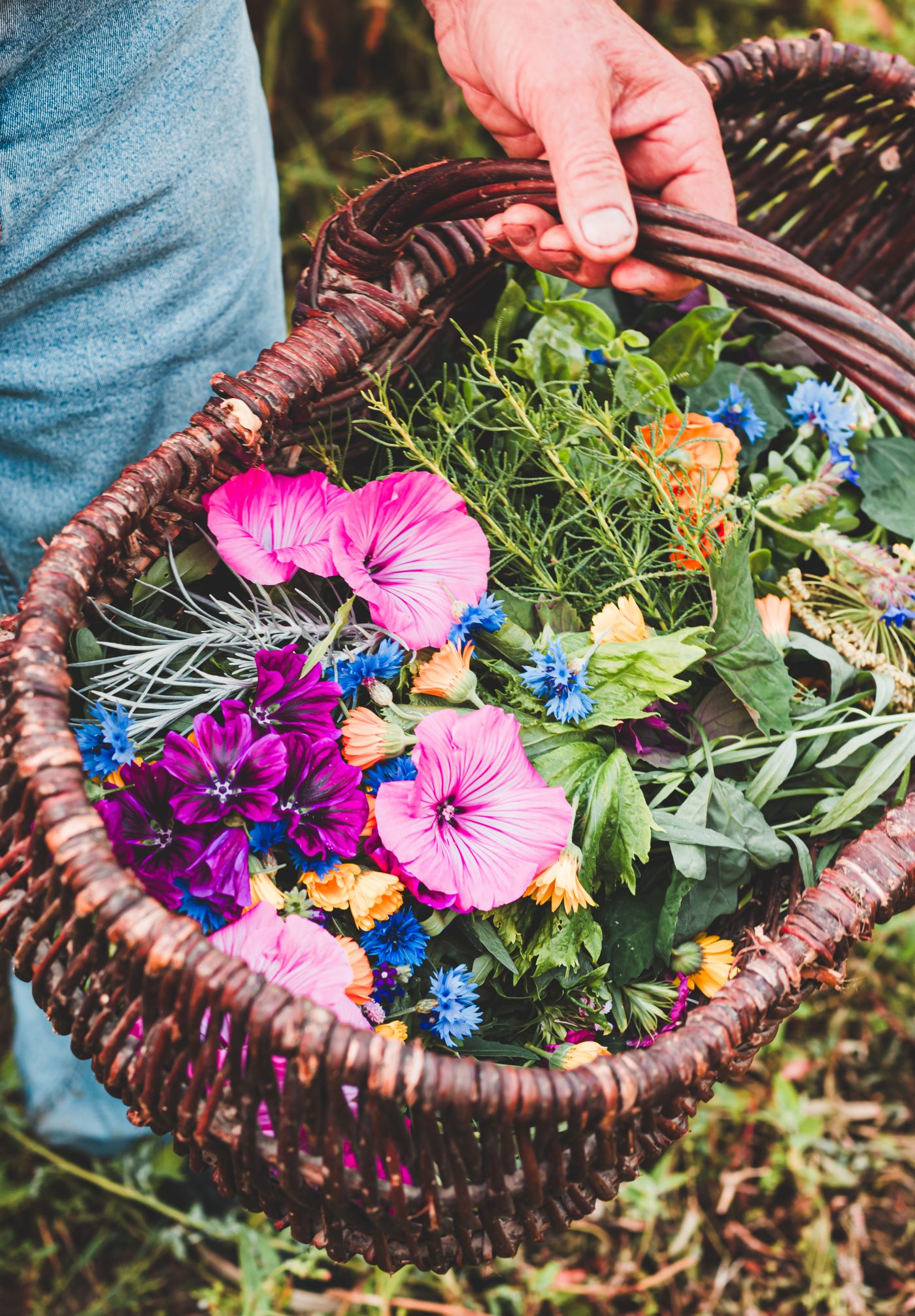 Artisan Floriculture — image 4