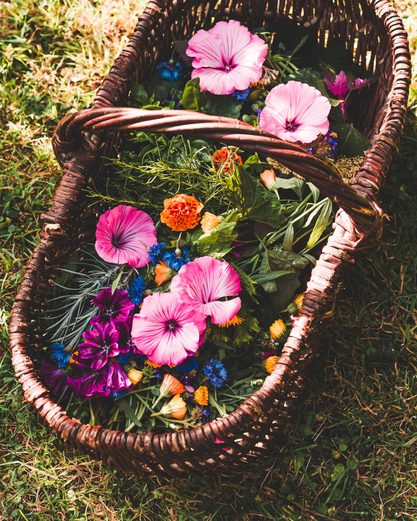 Artisan Floriculture — image 7
