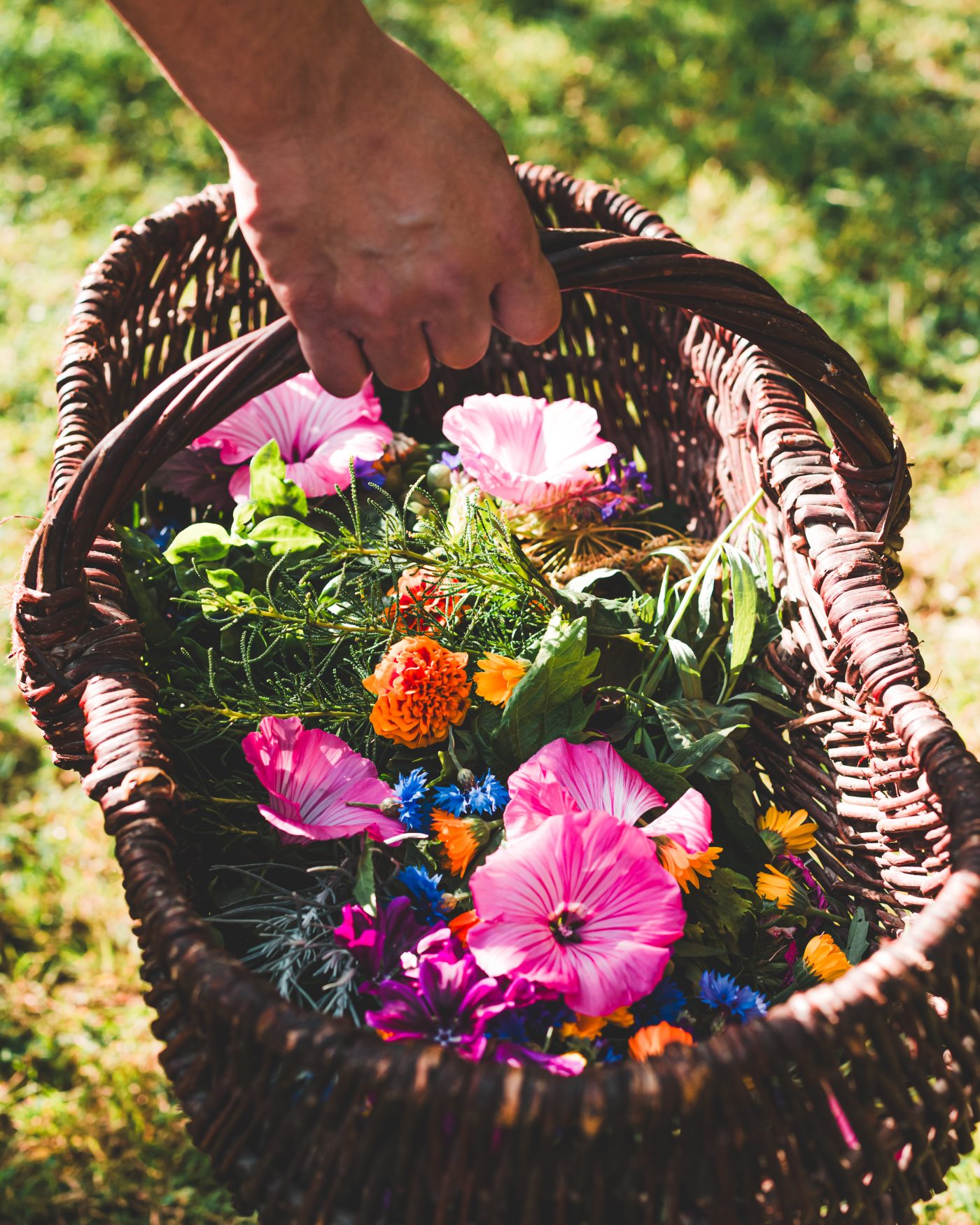 Artisan Floriculture — image 1