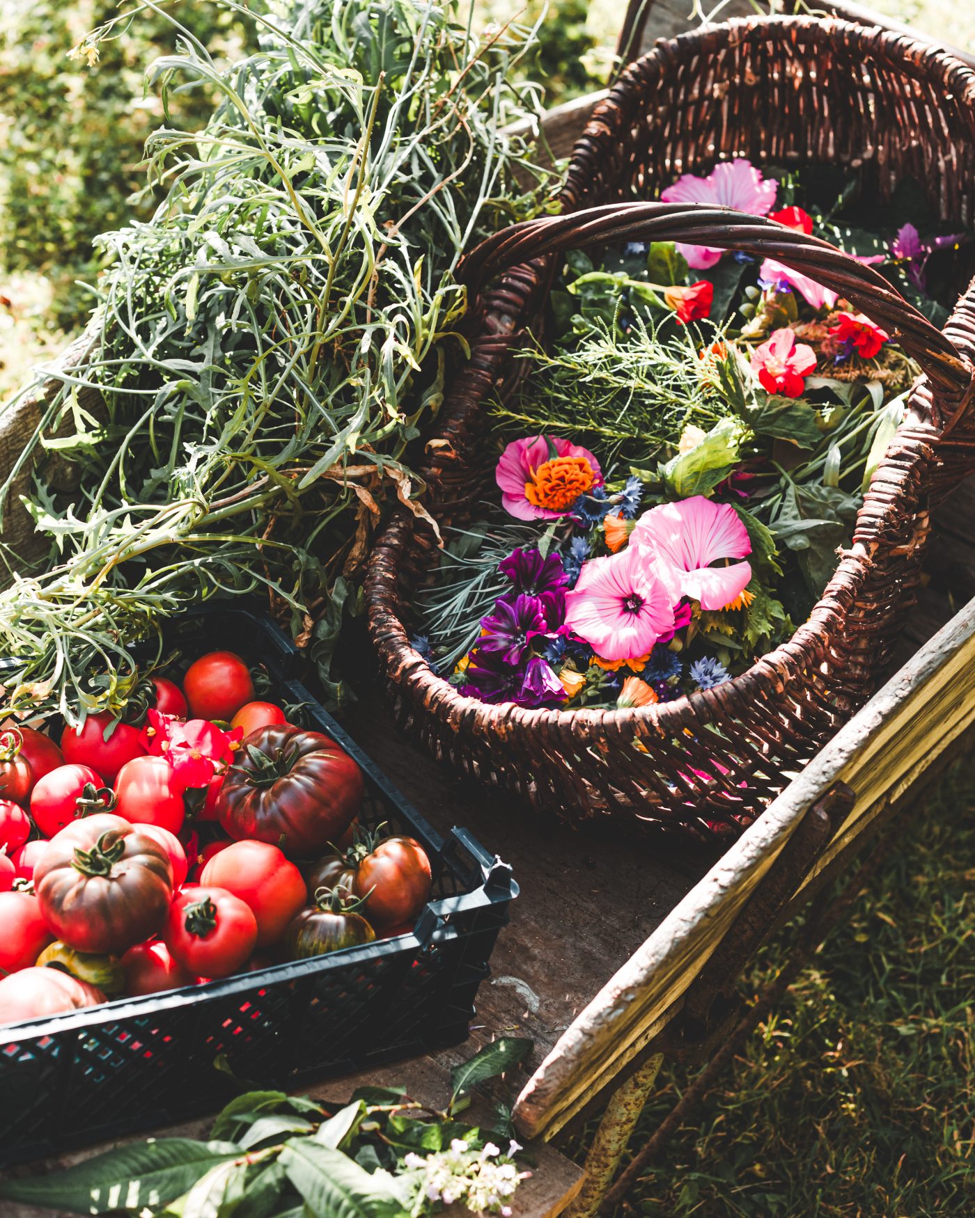 Artisan Floriculture — image 9