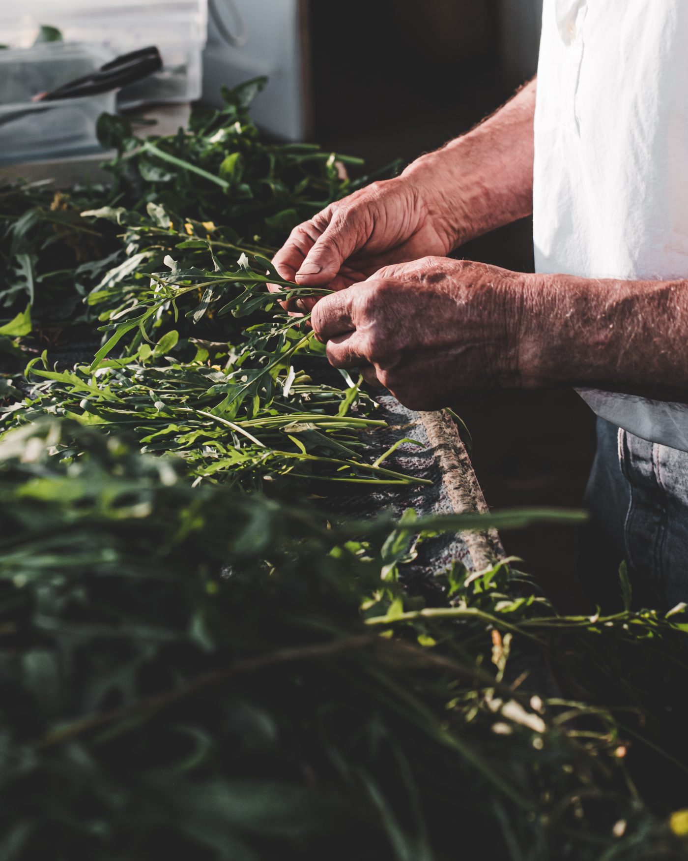 Artisan Floriculture — image 9