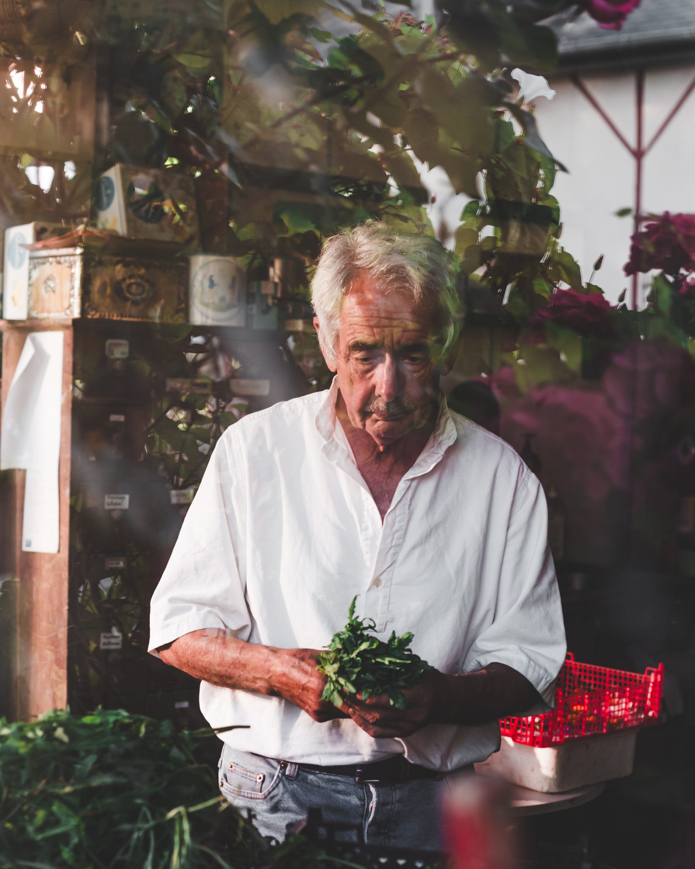 Artisan Floriculture — image 7