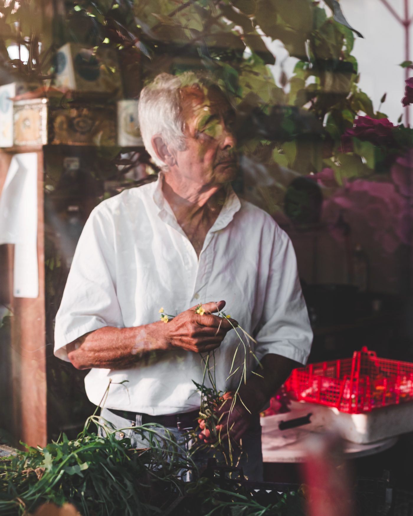 Artisan Floriculture — image 2